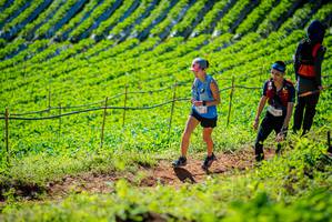 BIB: 
                            <button type="button" onclick="openModal(19161674)" class="btn btn-primary btn-sm float-right btn-popup" data-toggle="modal" data-target=".modal-high-quality">
                        <i class="fas fa-shopping-cart"></i> Add to Cart
                    </button>
                                            <button type="button" onclick="isThisMe(19161674, true)" class="btn btn-success btn-sm float-right btn-popup btn-isme hidden" data-toggle="tooltip" data-placement="bottom" title="นี่คือรูปของคุณใช่ไหม คลิกที่นี่เพื่อเอาเข้าอัลบั้ม">
                        <i class="fas fa-plus"></i> Add to album
                    </button>
                    <button type="button" onclick="isThisMe(19161674, false)" class="btn btn-warning btn-sm float-right btn-popup btn-isnotme hidden">
                        <i class="fas fa-ban"></i> Remove from album
                    </button>